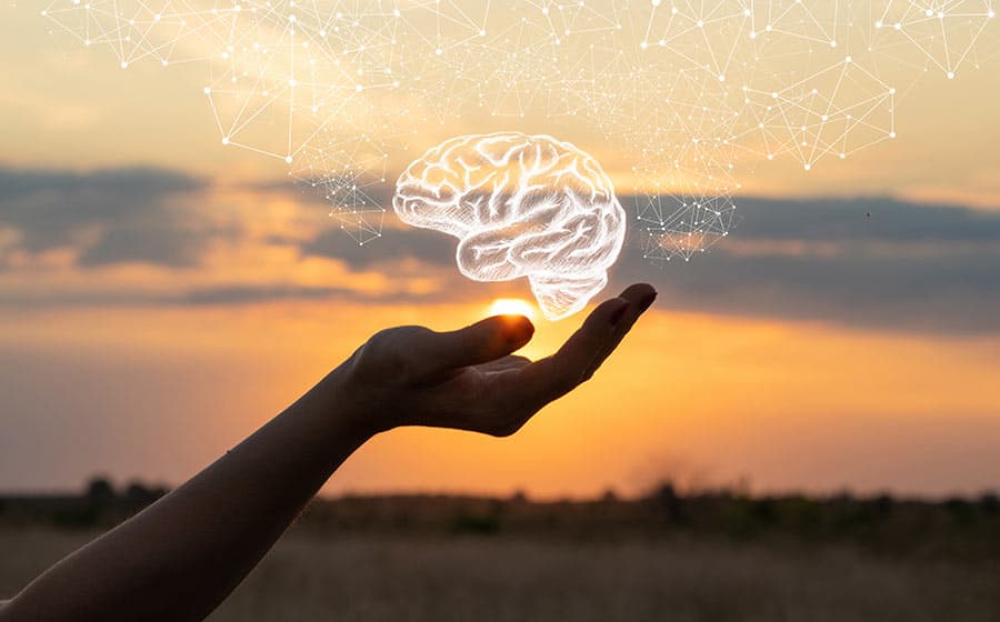 Dignidade da pessoa humana e a saúde mental [guia completo]