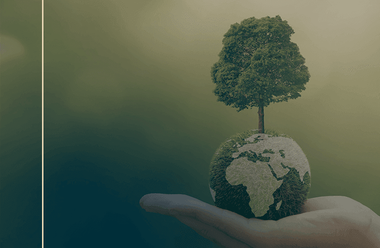 Princípio Fundamental da CF: Defesa do Meio Ambiente