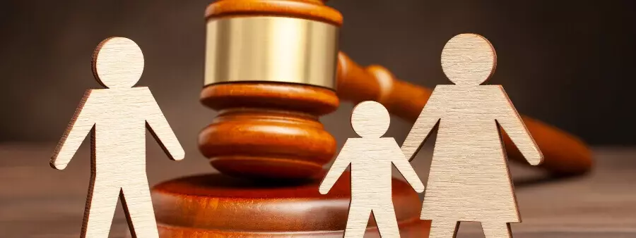 Recurso especial e direito de família: questões controversas