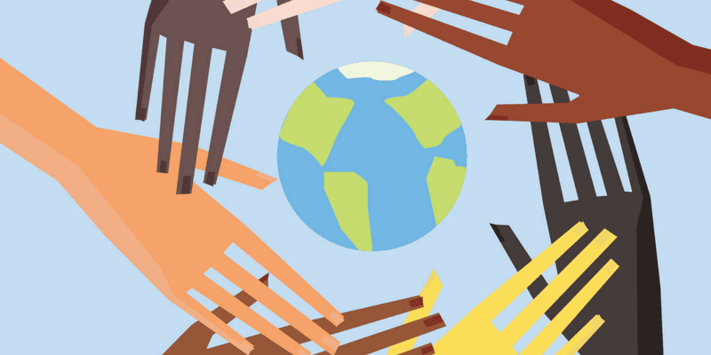 Reserva legal e direitos fundamentais: análise constitucional