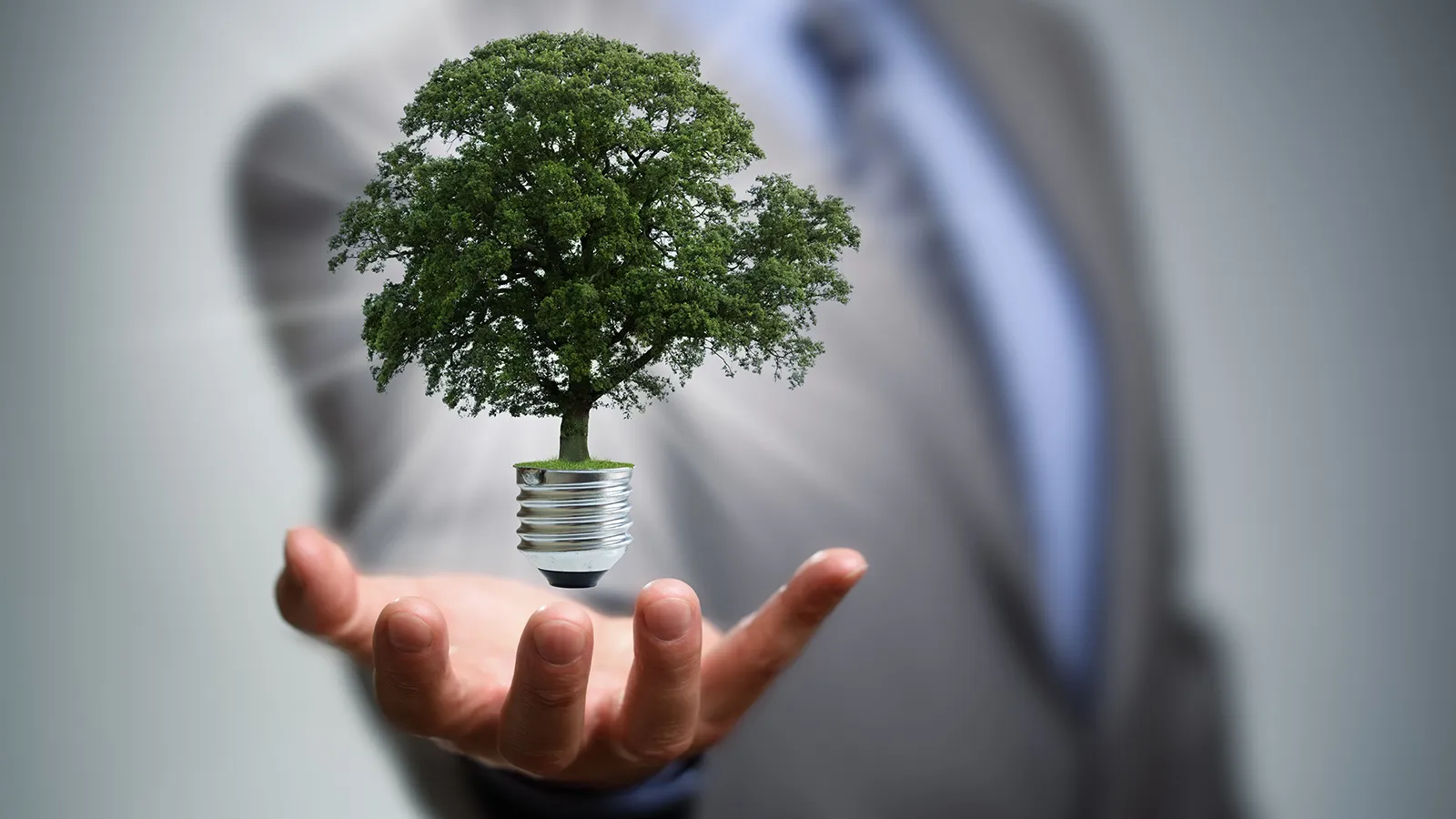 Impacto da adjudicação nas decisões de planejamento urbano e desenvolvimento sustentável