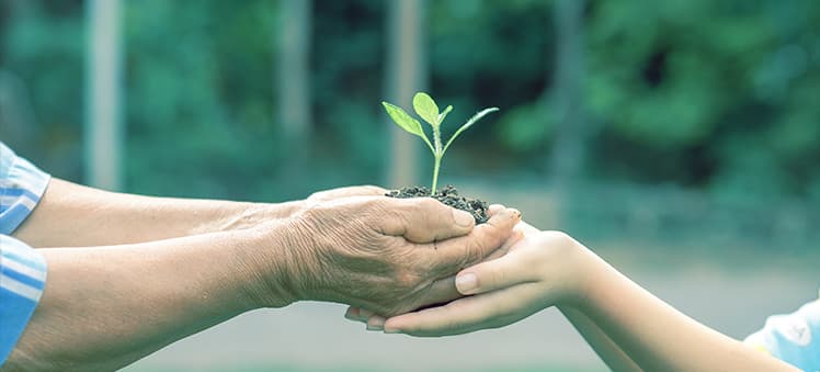Legalidade e licenciamento ambiental: conflitos e soluções